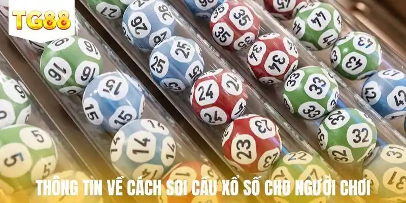 Thông tin chung về cách soi cầu xổ số cho người chơi
